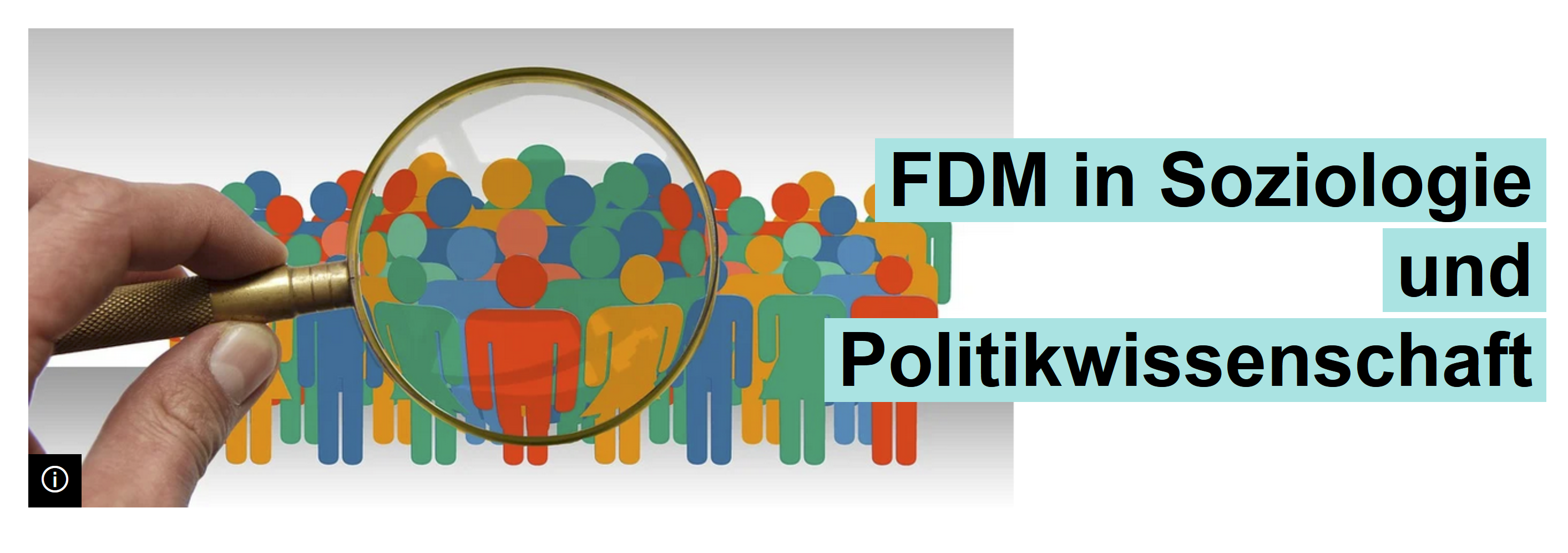 FDM in Soziologie und Politikwissenschaft