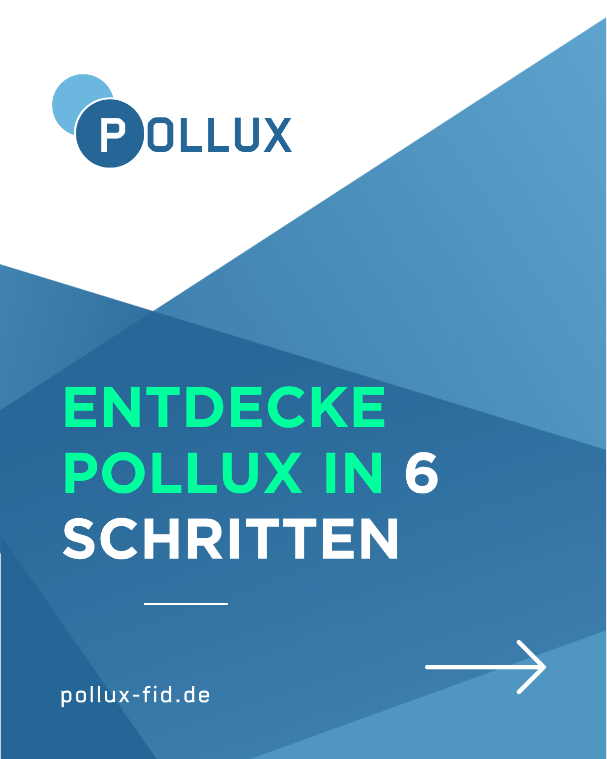 Discover Pollux in 6 steps